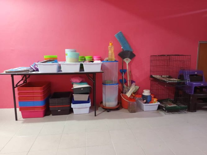 Bisnes Cat Hotel & Grooming di Sungai Buloh Untuk Dijual